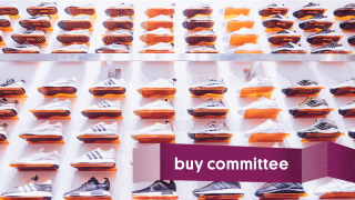 Buy Committee: What Shoes Will Help Me Survive Disney World?